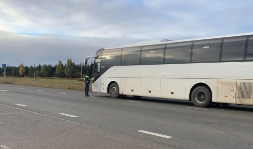 В Мамадыше провели профилактическую акцию «Тоннель»