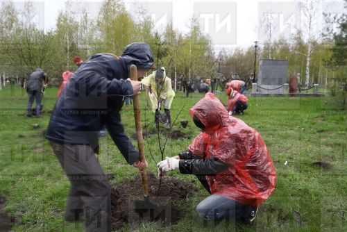 Всероссийская акция “Сохраним лес” будет организована в Татарстане уже в пятый раз