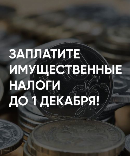 Мамадышцам рассказали о сроках уплаты имущественных налогов