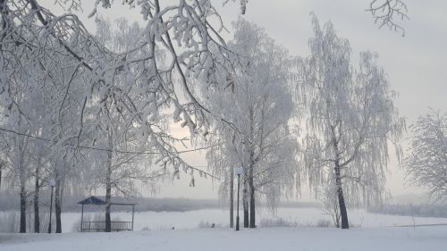 Народные приметы на 4 февраля