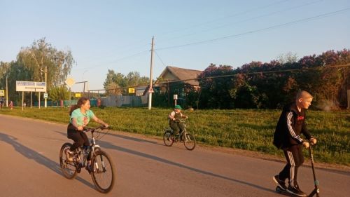 В Госавтоинспекции рассказали, где можно ездить на велосипедах