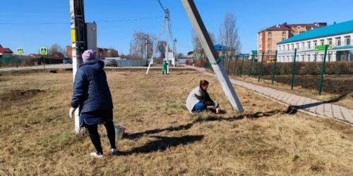 Бистә территориясе матурлана