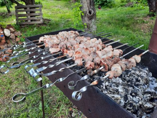 На майские праздники мамадышцам запретят жарить шашлыки