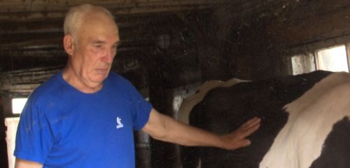 Мамадышские фермеры поделились секретами успеха