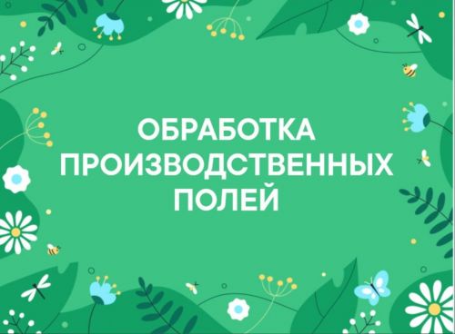 В Мамадышском районе проведут очередную обработку полей