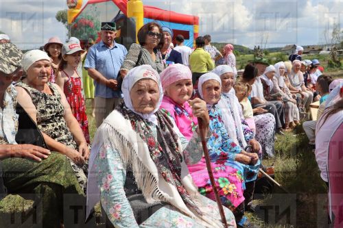 План мероприятий в Мамадышском районе, приуроченный к Декаде пожилых
