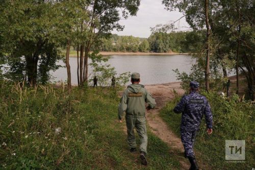Все виды охоты в Татарстане запрещены до конца октября