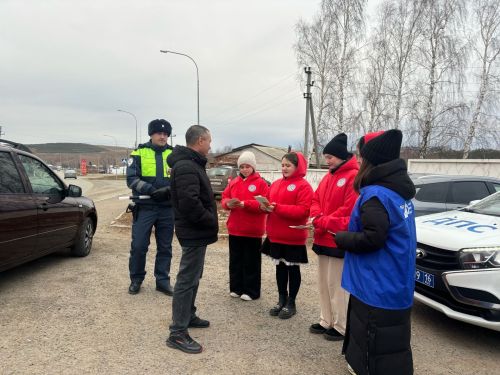 В Мамадыше прошла акция ко Дню памяти жертв ДТП
