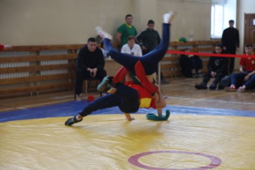 В Мамадыше состоялись соревнования по национальной борьбе