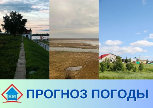 Прогноз погоды на 23 февраля 2023 года
