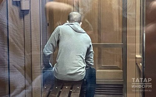 Жителя Мамадыша за совершенную кражу приговорили к отбыванию наказания в колонии особого режима