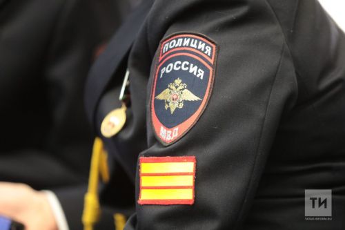 Мамадышец получил год условно за кражу телефона