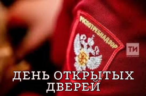 Мамадышских предпринимателей приглашают на День открытых дверей