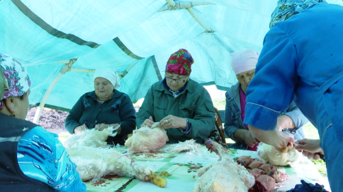 «Под народные песни и со вкусным балешем»: в Мамадыше отметили праздник утиного пера