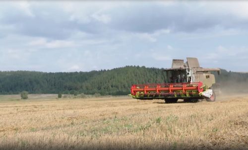 Хлеборобы Мамадыша продолжают уборку зерновых