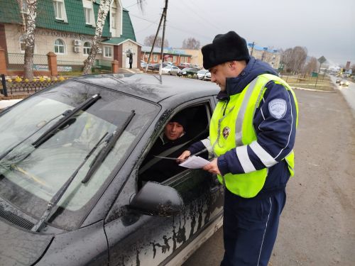 В Мамадыше стартовало мероприятие «Ремень безопасности»