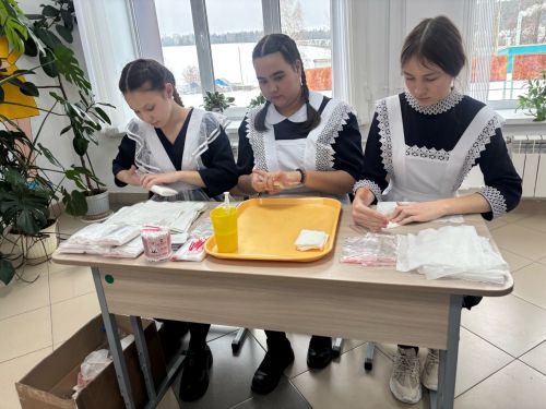 В Дюсьметьевском сельском поселении состоялся сход граждан