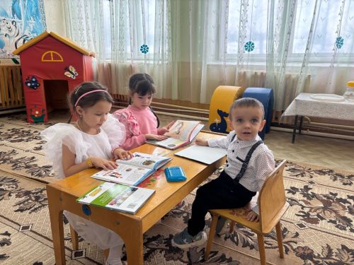 В Дюсьметьевском сельском поселении состоялся сход граждан