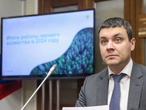 Анатолий Иванов высказал предложения по развитию лесного хозяйства