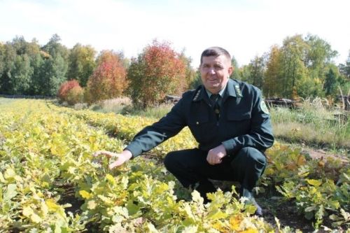 От подводной лодки до лесничества: уникальная биография Сергея Сапурина