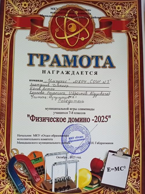 Юные физики Мамадышского района сыграли в «Домино»