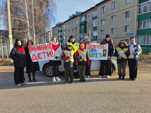 В Мамадыше прошла акция «Водитель, сбавь скорость»