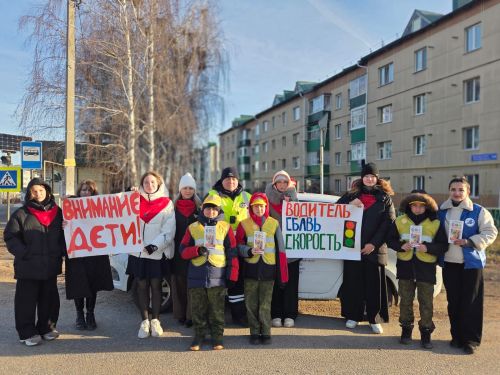 В Мамадыше прошла акция «Водитель, сбавь скорость»