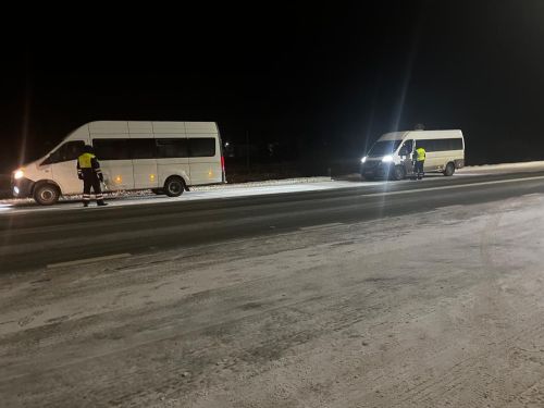 На дорогах Мамадышского района прошел профилактический рейд «Тоннель»