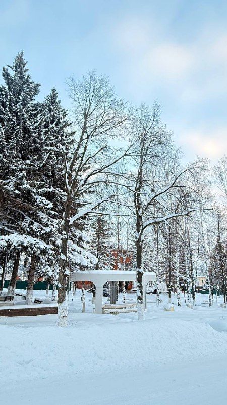 Синоптики Татарстана прогнозируют частые снегопады в январе