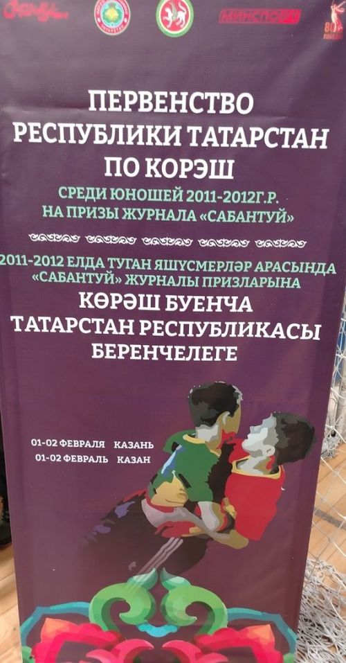 Команда Мамадышского района заняла шестое место в первенстве РТ по корэш