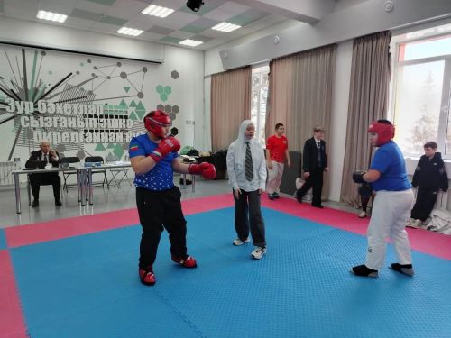 В Мамадыше состоялся турнир по единоборствам для юных бойцов