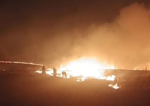 После семичасовой борьбы ликвидирован пожар сухой травы в Мамадышском районе