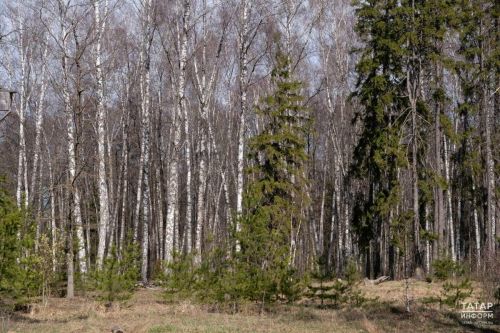 Где можно жарить шашлыки в Татарстане в майские праздники