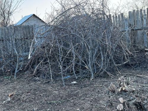 Семье участника СВО помогли с уборкой территории