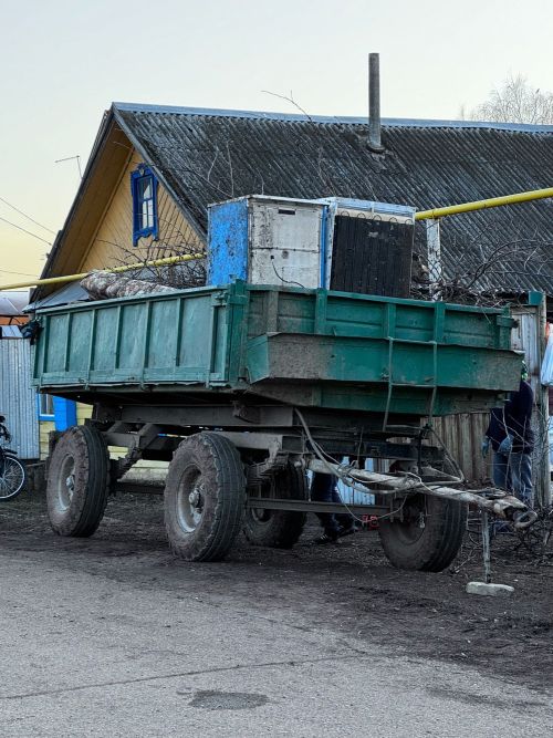 Семье участника СВО помогли с уборкой территории