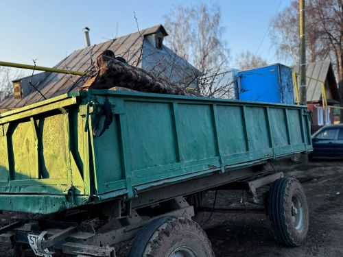 Семье участника СВО помогли с уборкой территории