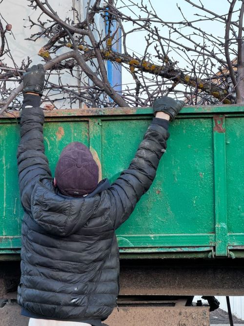 Семье участника СВО помогли с уборкой территории