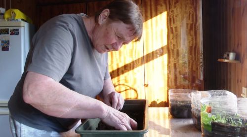 Садовод из Мамадыша поливает кустарники кипятком и купается в ледяной воде