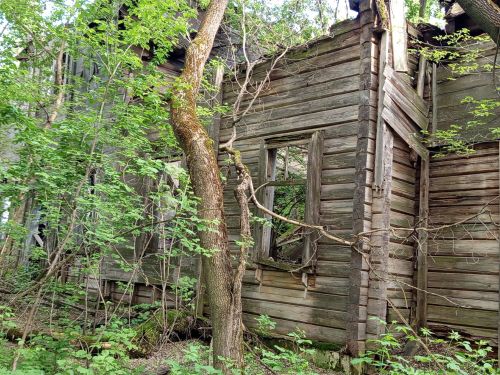 Школьникам рассказали историю заброшенного храма Животворящей Троицы