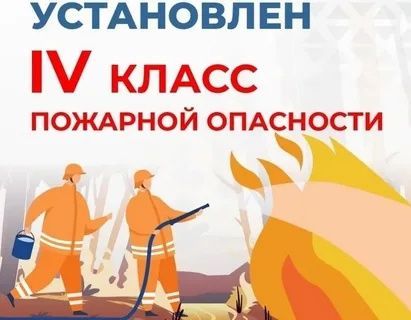 Штормовое предупреждение: высокая пожарная опасность лесов в Татарстане