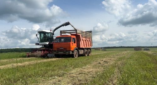 В Мамадыше продолжается кормозаготовительная кампания