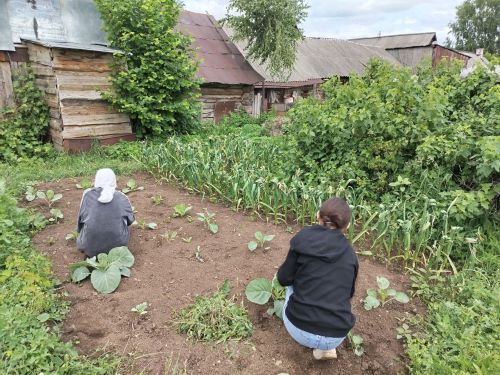 Юные патриоты помогли родителям героя СВО Фаниса Газизова