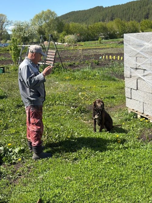 Ваша собака чипирована?