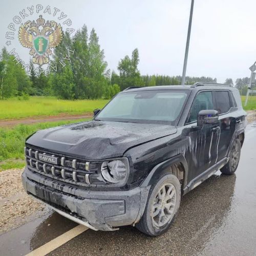 Трагическое ДТП в Елабужском районе: погибла юная велосипедистка