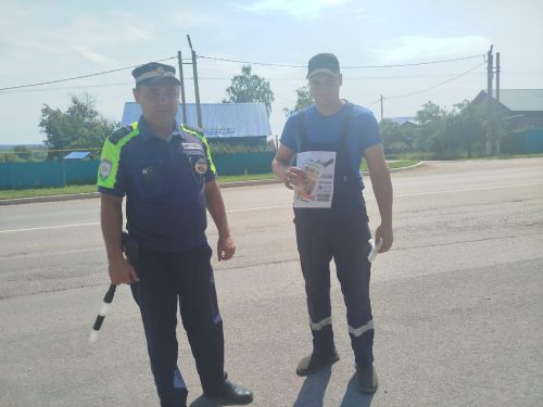 В Мамадыше прошло мероприятие «Ремень безопасности»