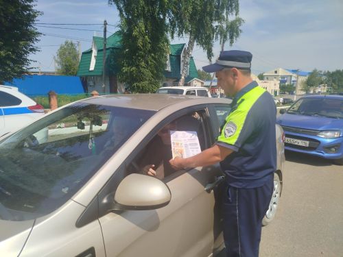 В Мамадыше прошло мероприятие «Ремень безопасности»