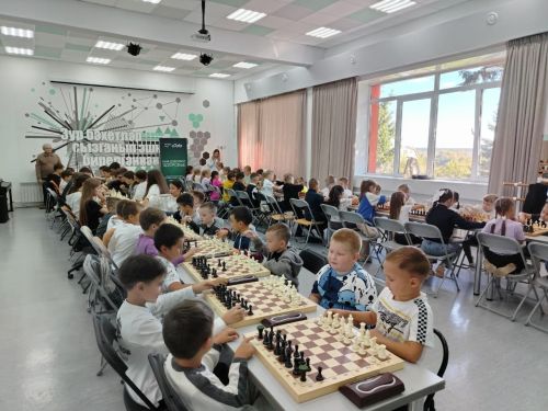 В Мамадыше прошел шахматный турнир