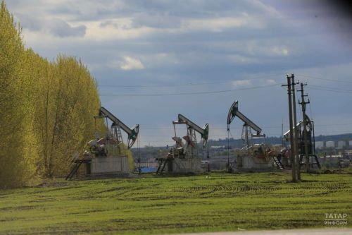 Мамадышский район раскрывает минерально-сырьевой потенциал