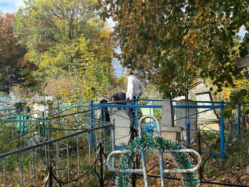 Мамадышцы приняли участие на общегородском субботнике