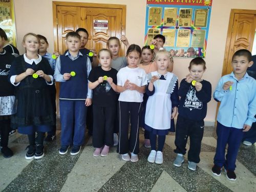 В школах Мамадышского района прошла профилактическая акция по БДД